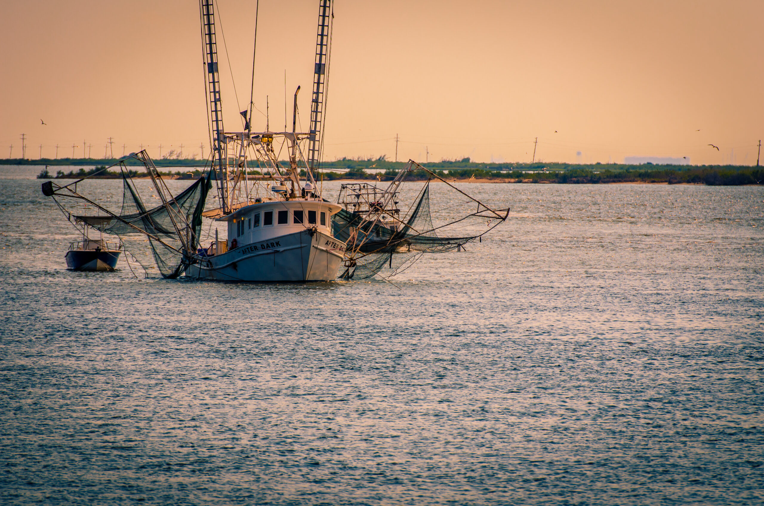 http://upload.wikimedia.org/wikipedia/commons/6/64/Grand_Isle_-_Shrimp_Stew.jpg